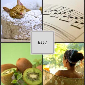 Collage for Flute 360 Episode 337: a sleeping cat symbolizing rest, sheet music for artistry, fresh kiwis for healthy sleep support, and a woman relaxing in a hammock with juice. Visuals represent the episode theme of overcoming the back-to-school crash with better sleep, nutrition, relaxation, and balance for flutists.