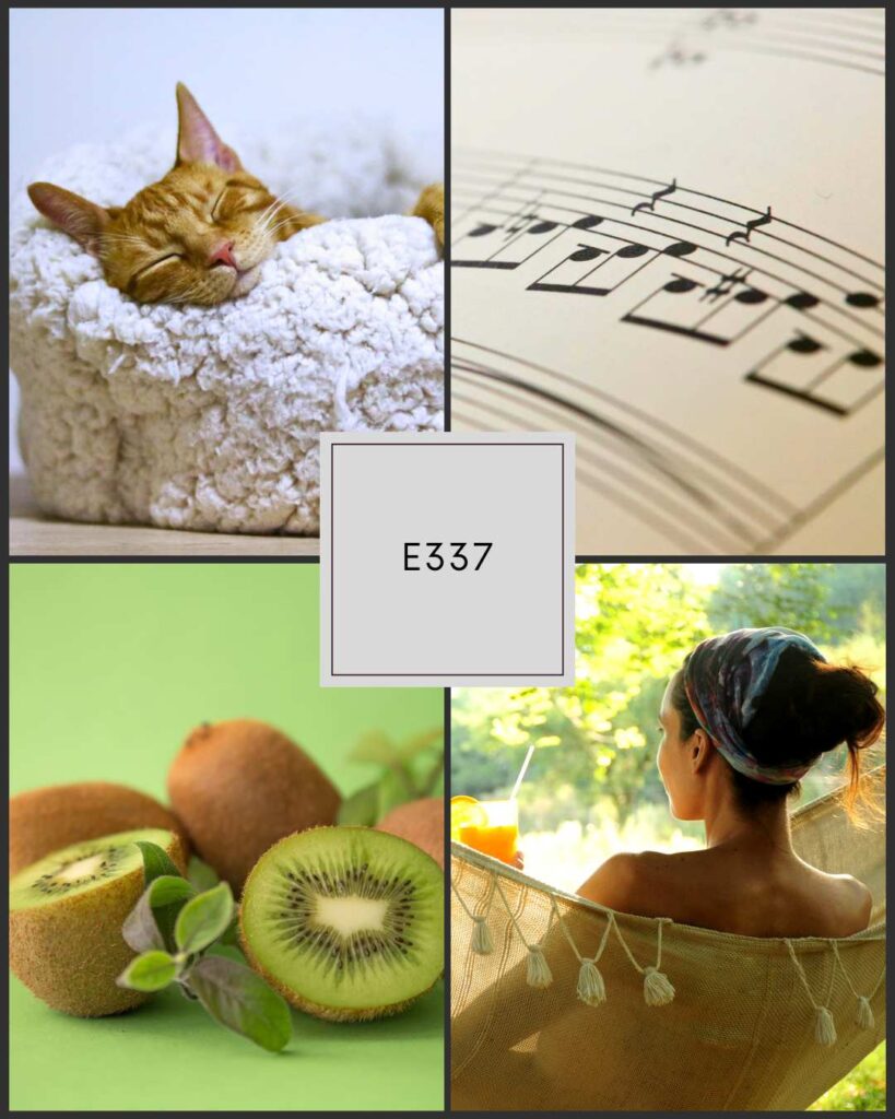 Collage for Flute 360 Episode 337: a sleeping cat symbolizing rest, sheet music for artistry, fresh kiwis for healthy sleep support, and a woman relaxing in a hammock with juice. Visuals represent the episode theme of overcoming the back-to-school crash with better sleep, nutrition, relaxation, and balance for flutists.