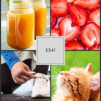 Holistic living collage for Flute 360 Episode 341 featuring two jars of fresh orange juice, sliced strawberries, a person tying athletic shoes, and a relaxed orange cat outdoors—symbolizing energy, health, focus, and balance.