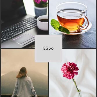 Flute 360 Episode 356 collage featuring a laptop and coffee, a glass teacup with mint, a woman overlooking a misty mountain landscape, and a single pink carnation in a small vase, with a center label reading E356.