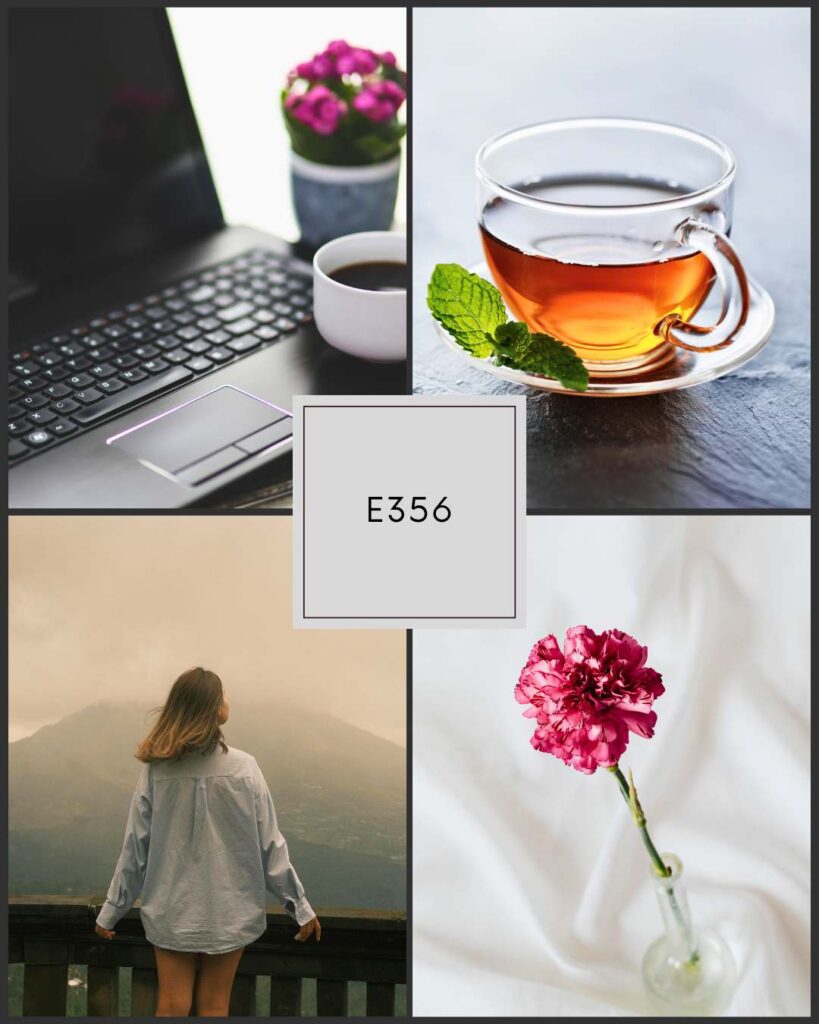 Flute 360 Episode 356 collage featuring a laptop and coffee, a glass teacup with mint, a woman overlooking a misty mountain landscape, and a single pink carnation in a small vase, with a center label reading E356.